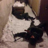 Потери российских военных за минувшие сутки составили 100 человек убитыми и 200 ранеными, — источник