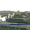 Украинские военные получили новое вооружение (ВИДЕО)