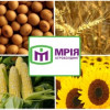 Интерпол объявил в розыск главу украинского агрохолдинга-банкрота «Мрия»
