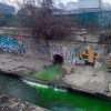 Река Лыбидь окрасилась в зеленый цвет
