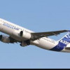 Командир разбившегося A320 пытался взломать дверь кабины топором
