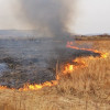 Площадь пожаров в Забайкалье увеличилась на 20 тысяч гектар