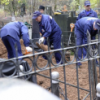 В России хотят раскопать все старые могилы, а найденные драгоценности направить в госказну