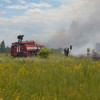 Спасатели отчитались о состоянии пожара возле ЧАЭС