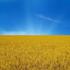 Нэп по-украински. В чем суть новой экономической стратегии Украины