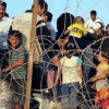 Хорватия закрыла границы для беженцев